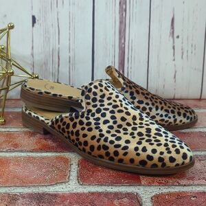 Gap Cheetah Leopard Animal Print Mobwife Velvet Mule Slip Ons Women's Size 7‎